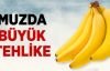 Muz da Büyük Tehlike