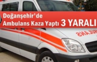 Doğanşehirde Ambulans Kaza Yaptı 3 Yaralı